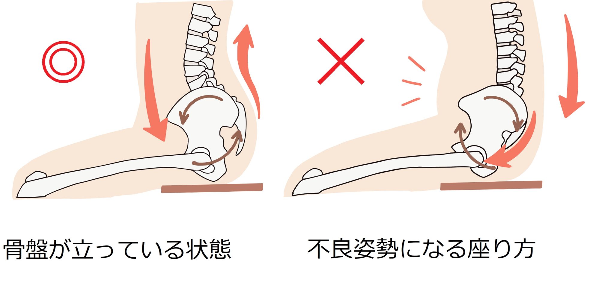 【姿勢】正しい姿勢 座り方 - 京町通り整骨院